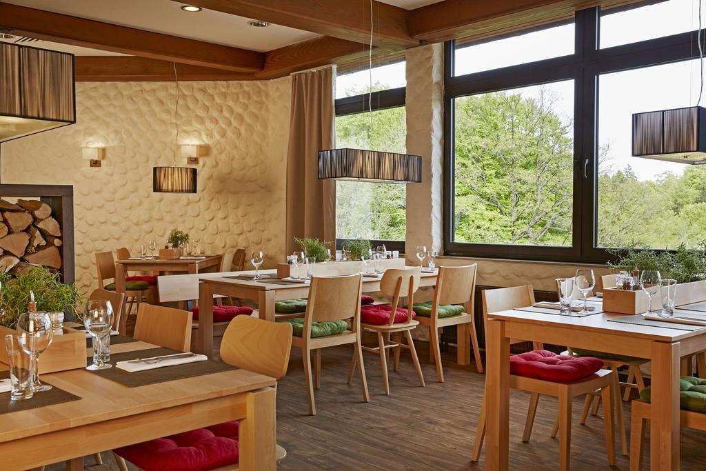 H+ Hotel Willingen Вилинген Екстериор снимка