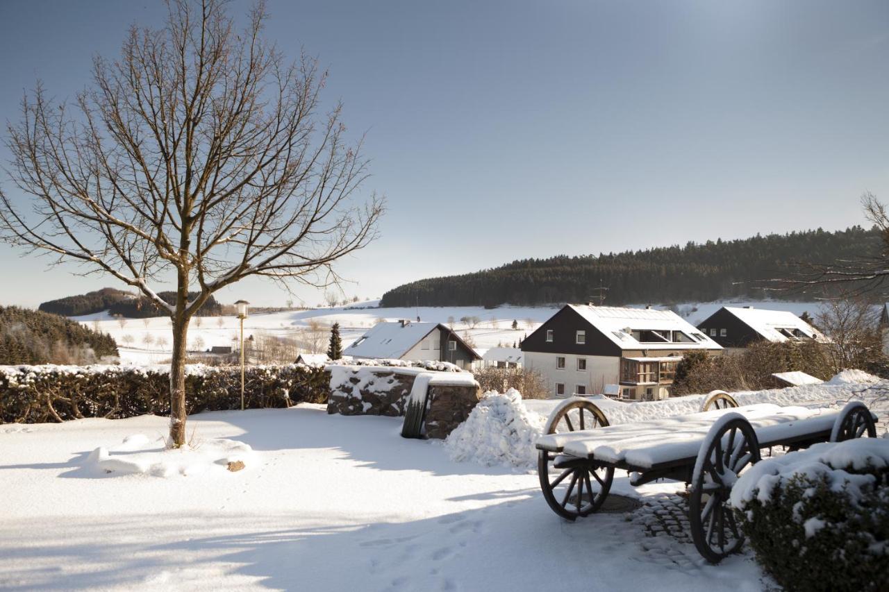 H+ Hotel Willingen Вилинген Екстериор снимка